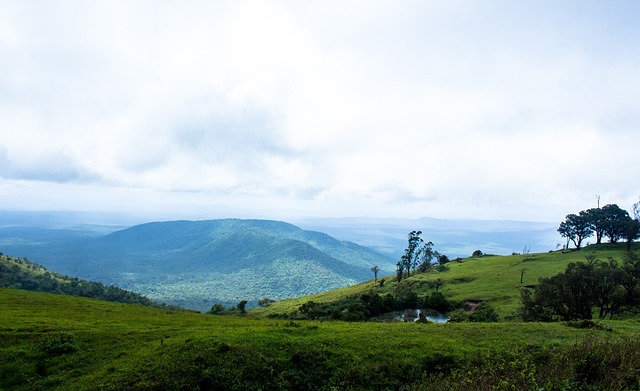 2024歐預賽第3輪馬耳他0-4英格蘭 阿諾德重回首發獨造三球！英格蘭6分領跑C組！.