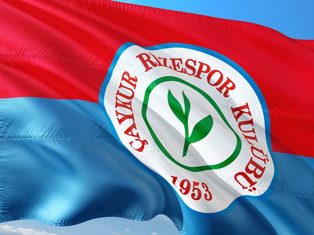 2024中国汽车场地越野赛柯城站排位赛火热上演.